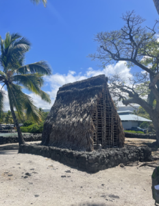 thatched roof structure with wood and dried palm roof